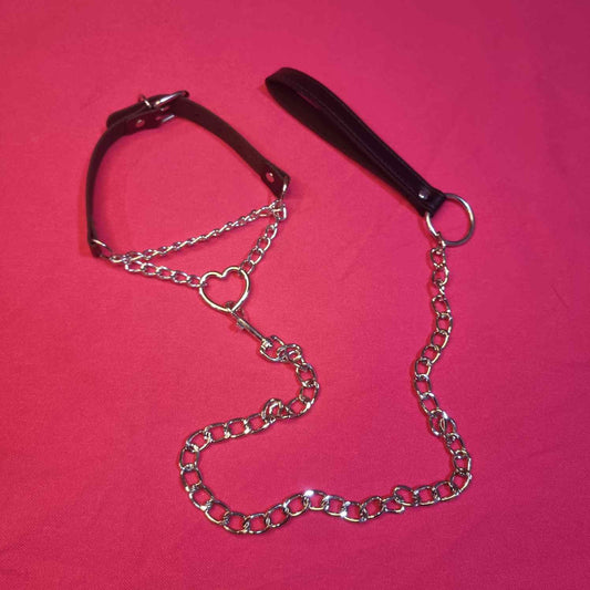 Choke Chain Collar and Leash ~ in Black